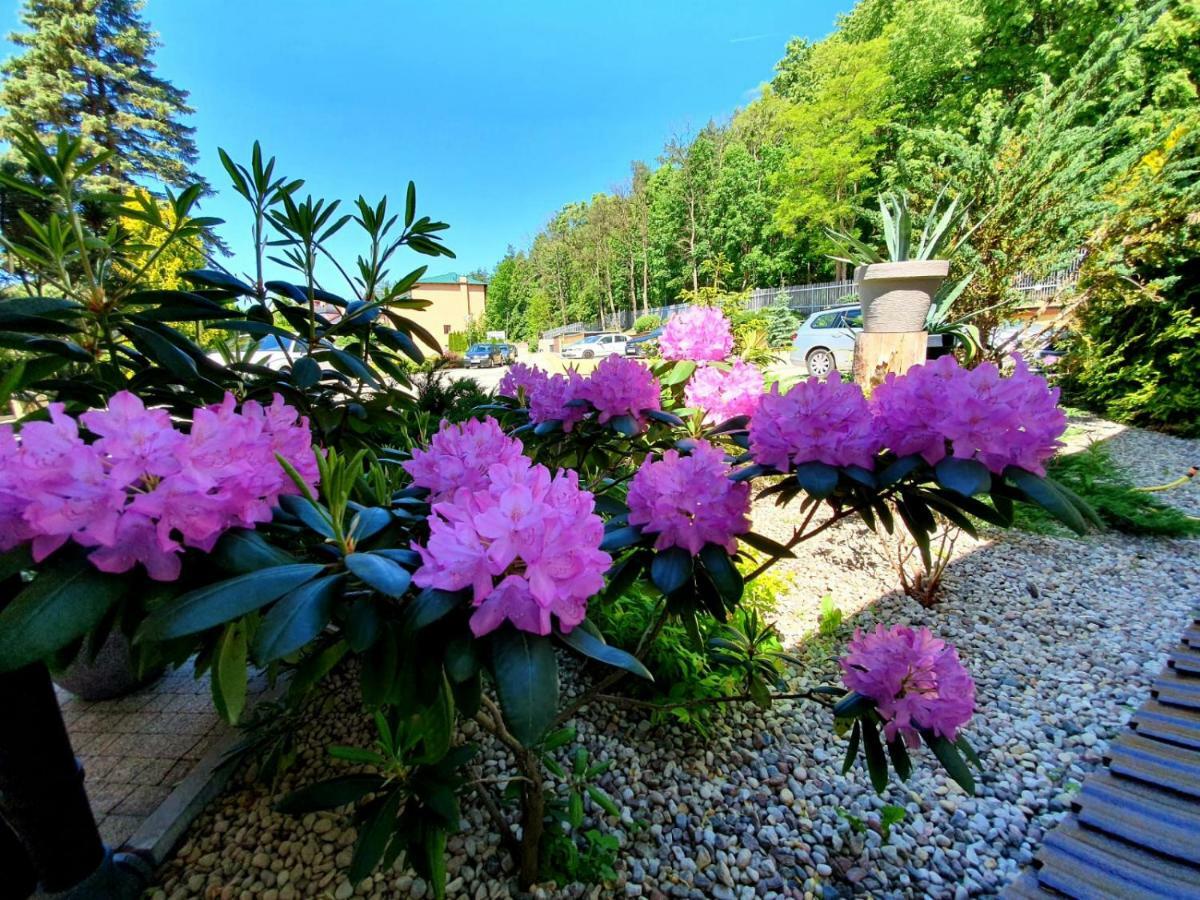 Hotel Mazuria Country & Spa Mragowo Luaran gambar